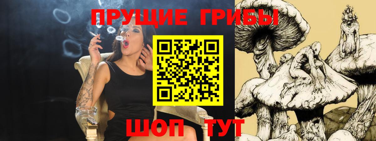 Элиста  Псилоцибиновые грибы мицелий  Галлюциногенные грибы Magic Shrooms  Вход с VPN 