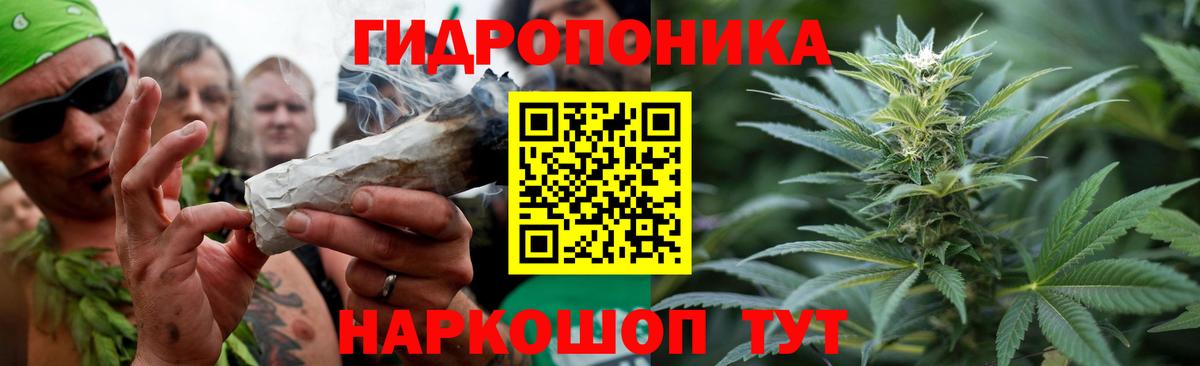 Каннабис марихуана Элиста